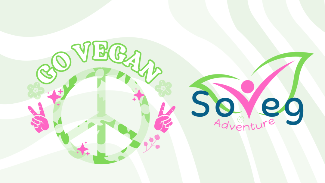 Soveg 